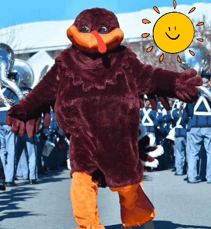 Hokie Bird Image